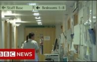 Coronavirus: UK government says 1 in 5 workers could be off –BBC News